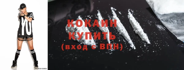 ECSTASY Богданович